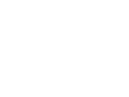 Shorestation Logo